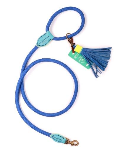 ⑩ DOG WITH A MISSION｜ドッグリード・スカイ